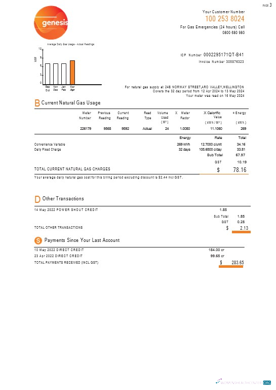 Download New Zealand Genesis Gas utility bill 3 pages Photoshop template